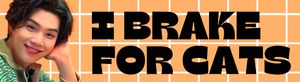 I Brake for Cats Bumper Sticker
